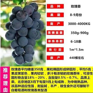 ͥԺ�ش�ꖹ�õ�����ј���޷������Ϸ������Nֲ������������