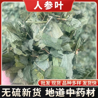 人参叶中药材批发人参茎叶参叶山参叶移山参参苗新货无硫
