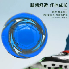 【キャンパスおすすめ】5日成人小中学生訓練試合専用耐摩耗耐防爆サッカー卸売り