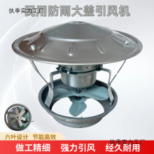 ßLCşCͨLʟͲ𿻠tLC