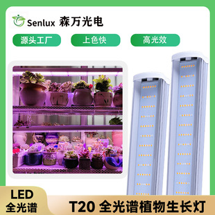 ֲ���a���T20ȫ���V���⌣����ɫ��̫ꖹ����LEDֲ�����L��