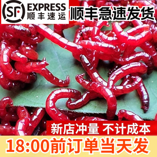 �t�x�r����D�ش�̖ι�~�D���D�a�~Ұ��D����~Ұ��~�Dһ������