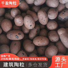 �������l�p�|������̽��B�����l���g�̨���|�����¸���