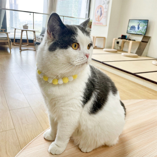 Pet Cat Macaron Colorful Cute Ball Self-Adhesive Cat Collar Birthday Party Christmas Accessories
