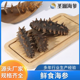 海参;水产礼盒类;干品/即食海参