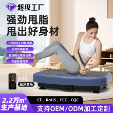跨境甩脂机健身震动机家用全身懒人运动塑身机抖动机甩脂机抖抖机