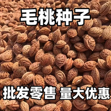 ëҷNëҺɽӘҘNɽҷNӿ޽÷ľ