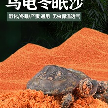 乌龟冬眠沙龟缸造景河沙养乌龟沙子龟沙巴西龟草龟过冬用品沙