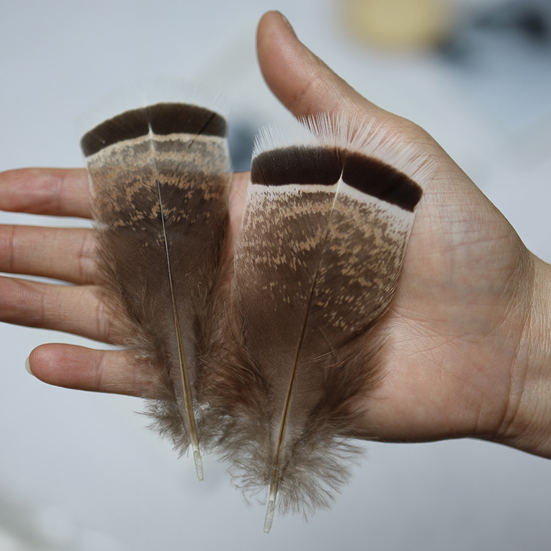 Fábrica al por mayor de bricolaje plumas pequeñas plumas naturales plumas de pollo salvaje plumas de pato jardín de infantes joyas hechas a mano gato divertido material de captura de sueños
