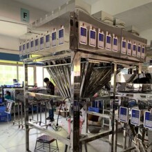 盒装毛绒玩具眼睛大容量分装机 多头异型盒分装称重机
