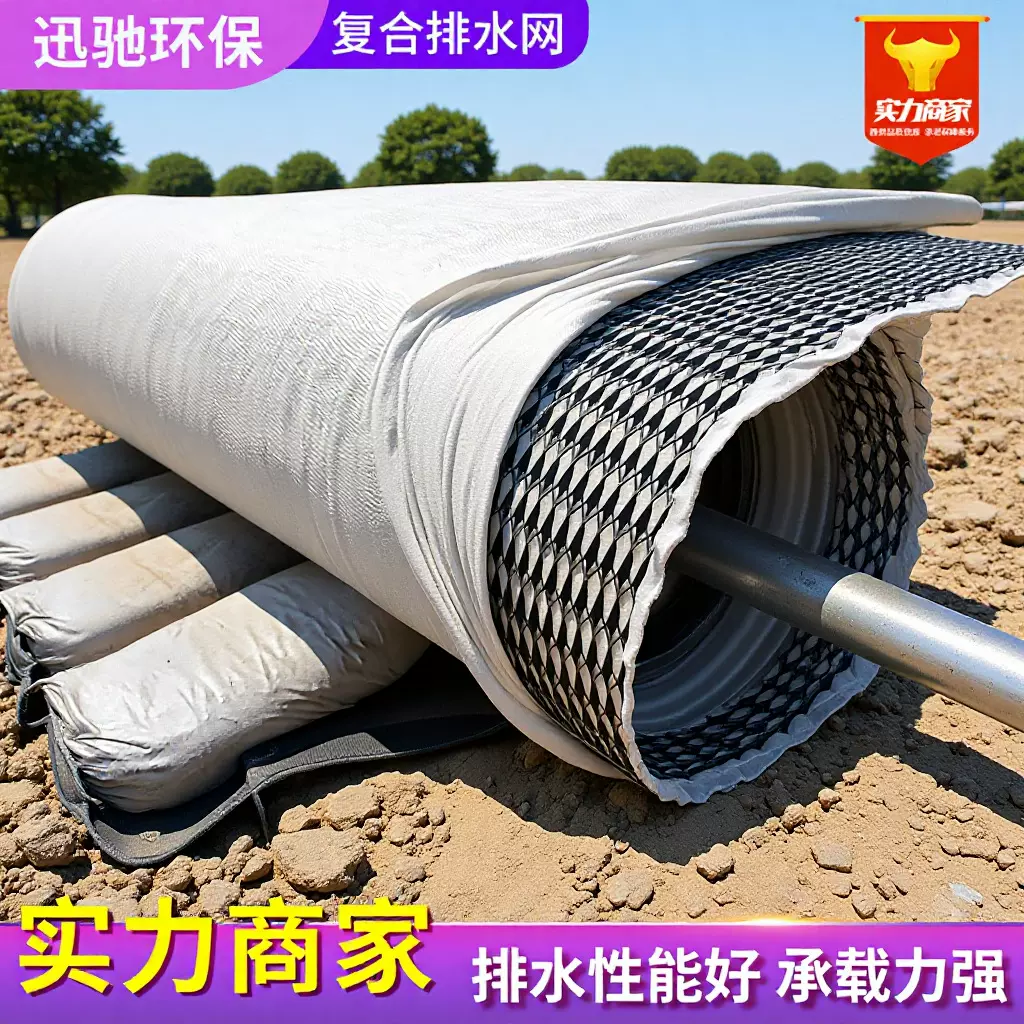 三维土工排水网垃圾填埋挡土墙隔离排水5mm6mm7mm复合排水网