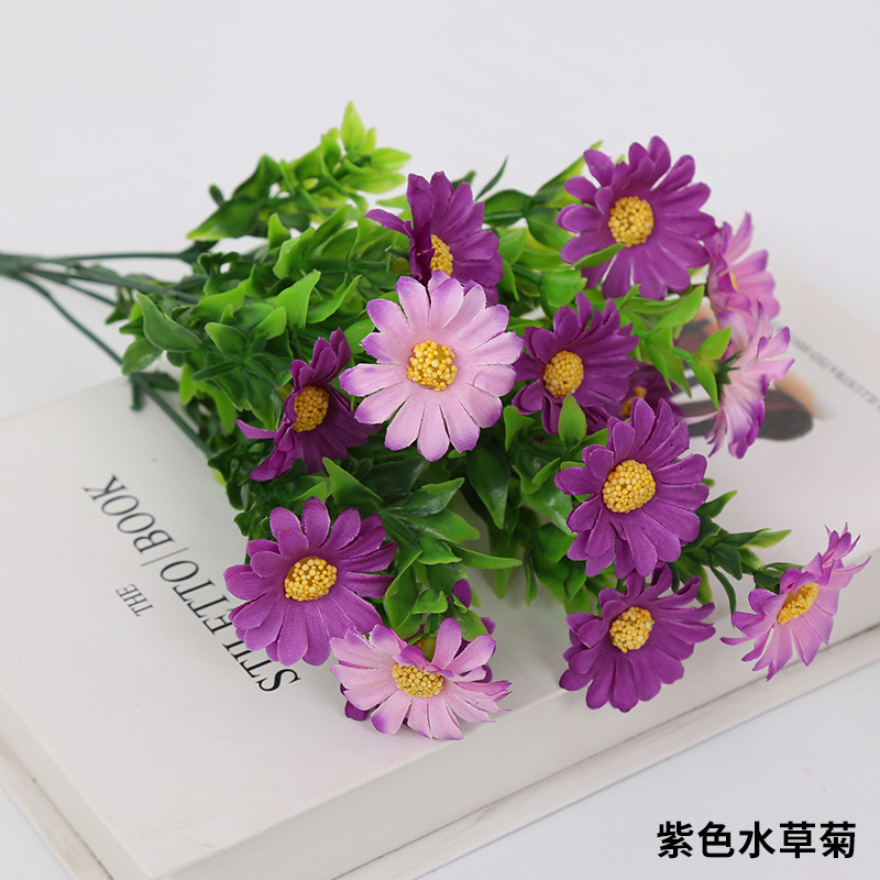 Crisantemo acuático púrpura