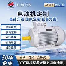 YDT风机泵类变极多速三相异步电动机动力强劲源头厂家
