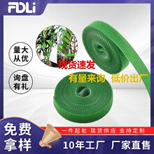 �����_����ֲ��ħ�g�N����ճ�ێ��������̶����ͱ������Gֲ����