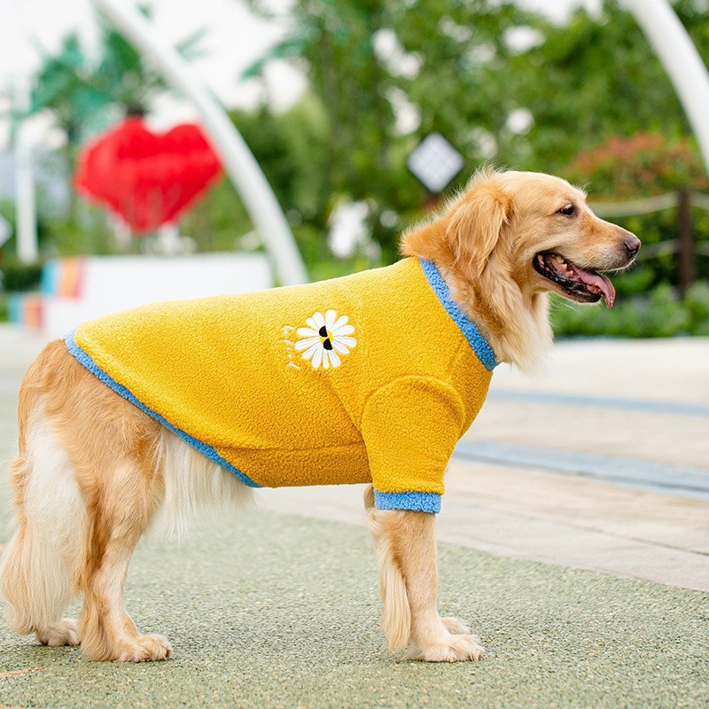 Otoño y invierno ropa de perro de pelo dorado Samoan de dos patas más ropa de peluche cálida de peluche ropa de mascotas de perros grandes