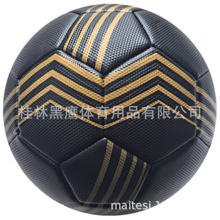 5̖�C�p���򼃺��w�������Ƥ�| 2025���Q�N����LOGO