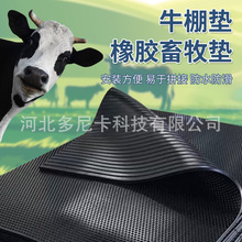 ţ�����z�����|���l�i���Bֳ�S�������z�|������ĥţ���������z�|