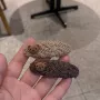 椭圆侧边植绒毛线刘海夹