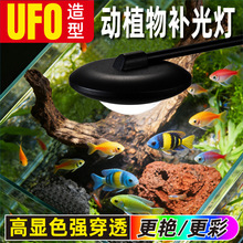 �~�׊A�����������~�ן�USB׃ɫ���{ˮ�ݟ�ֲ���a���ˮ���LED��