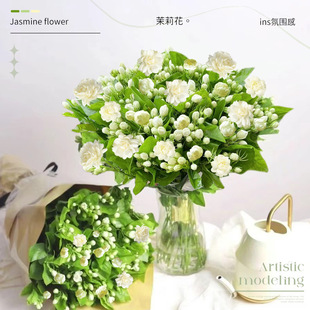 Jasmine Hydroponic Plants, Fresh-Cut Flowers with Buds, Indoor Flowers and Green Plants, Nine-Mile Fragrant Potted Plants, Easy to Grow and Bloom in All Seasons