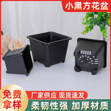 小黑方多肉花盆色多肉植物种植盆育苗盆移苗盆塑料花盆批发小黑方