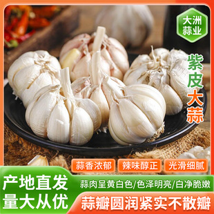 �¸�������������5�߲ˮ���������^�����^��250g�r���ϰ�Ƥ��