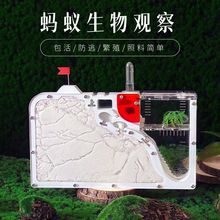 Λρ�Ǳ�ρ��������ɳ����ρ��W���^�����B������ׯ�@�҈@