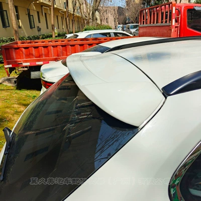 Fixed wind wing tail BMW E84 modification non-perforated