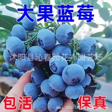 {ݮϷļ̨ˮNֲͥԺN箔Y