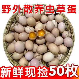 整箱50枚土鸡蛋农家散养新鲜鸡蛋笨鸡蛋野外虫蛋源头工厂一件批发