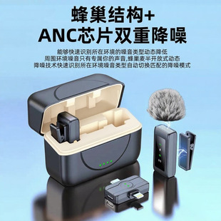 New Two-In-One Wireless Lavalier Microphone Active Noise Reduction Anchor Live Broadcast Recording Vlog Small Microphone