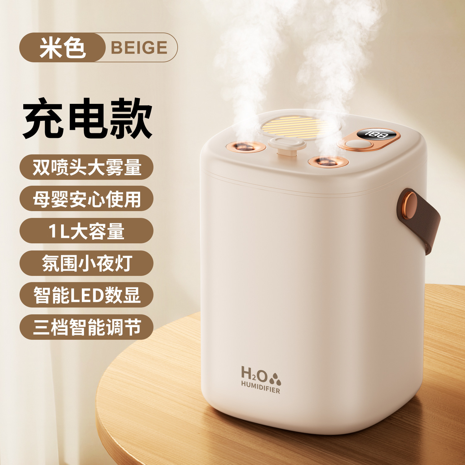 Charging model-rice white