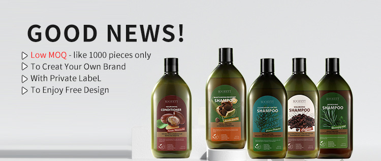 KOGEEYY Cross-border Exclusive Platycladus orientalis Leaf Oil-Control Shampoo, Plant-based Anti-dandruff and Anti-itch Shampoo 500ml details Picture