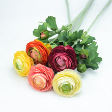 �¿�2�^ֲ�qǧ��¶ɏ ��Ʒ�|���滨��c�������ٻ��Ҿ��b�����