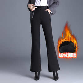 女士西装微喇裤长款高腰加绒喇叭裤秋冬款松紧腰显瘦修身休闲裤