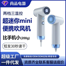 面罩美容仪;电吹风;电子美容仪