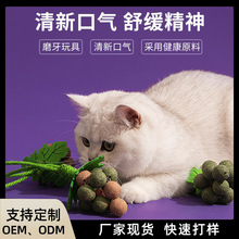 新款磨牙玩具猫咪啃咬自嗨玩具葡萄岁岁香薄荷清新口气宠物用品