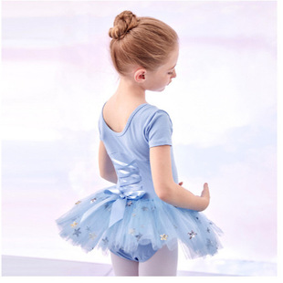 Children's Dance Clothes Girls Spring and Summer Short-sleeved Chinese Dance Clothes Practice Clothes Girls Dance Clothes Ballet Dress Princess Dress