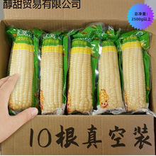 白糯玉米整箱即食黏玉米棒非东北苞米农家真空装批发