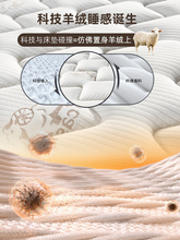 ?ϯ��˼���|��������ܛ�|20cm��������ӲҬ�����z1.5���ⷿ��