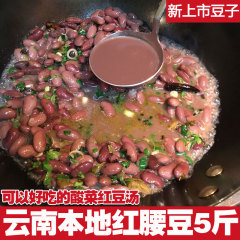 雲南特産の赤インゲン豆、大粒小豆、赤インゲン豆、花豆、赤インゲン豆種子 2.5kg バルク