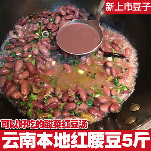 �tܿ�� �r���Ԯa����خa��t���t��������5��ɢ�b�tܿ���N���s�Z