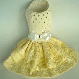 连衣裙;女式卫衣;狗狗服装