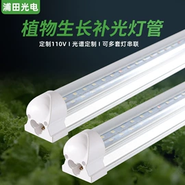 植物生长灯