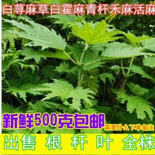 �Ĵ����r�G�U�n��ݰ׻���׻���������ҧ�˲�������~��؛��؛