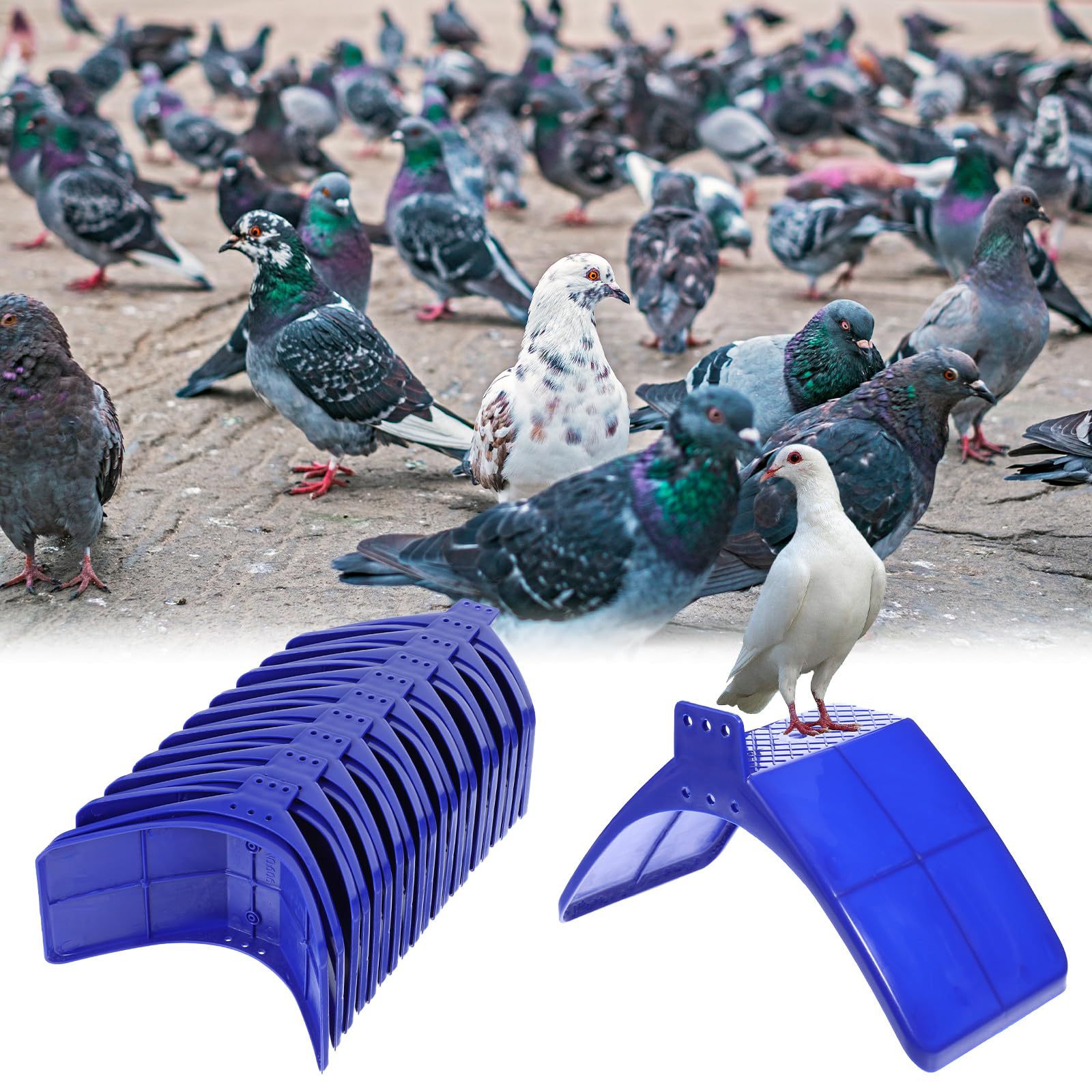 Pigeon perched pigeon breeding supplies Pigeon rest rack plastic…
