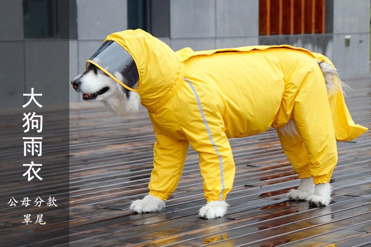 DFA3442B-A598-4A76-9047-61F13A