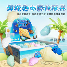 儿童神奇泡水膨胀变大玩具模型泡水会孵化海洋动物的海螺早教玩具