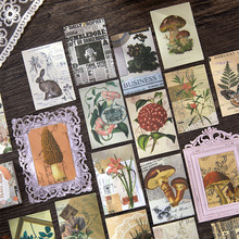 ʰ�ⶹ���N���� �o�k�r��ϵ�� �͹�ƴ�N�֎��b��ز�50���� 6��