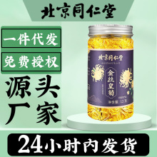 一件代发北京同仁堂金丝黄菊菊花茶一朵一杯菊花茶批发大花整朵